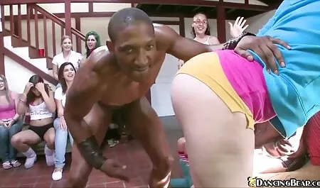 Chó chết sex nhật bản full hd không che Tiệt đó tất cả