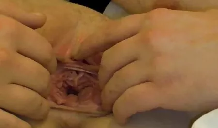 Đẹp và nghịch ngợm cô gái trong thiên phim sét nhật bản không che nhiên